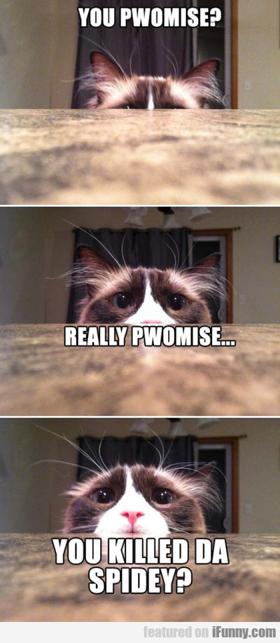 You Pwomise Really